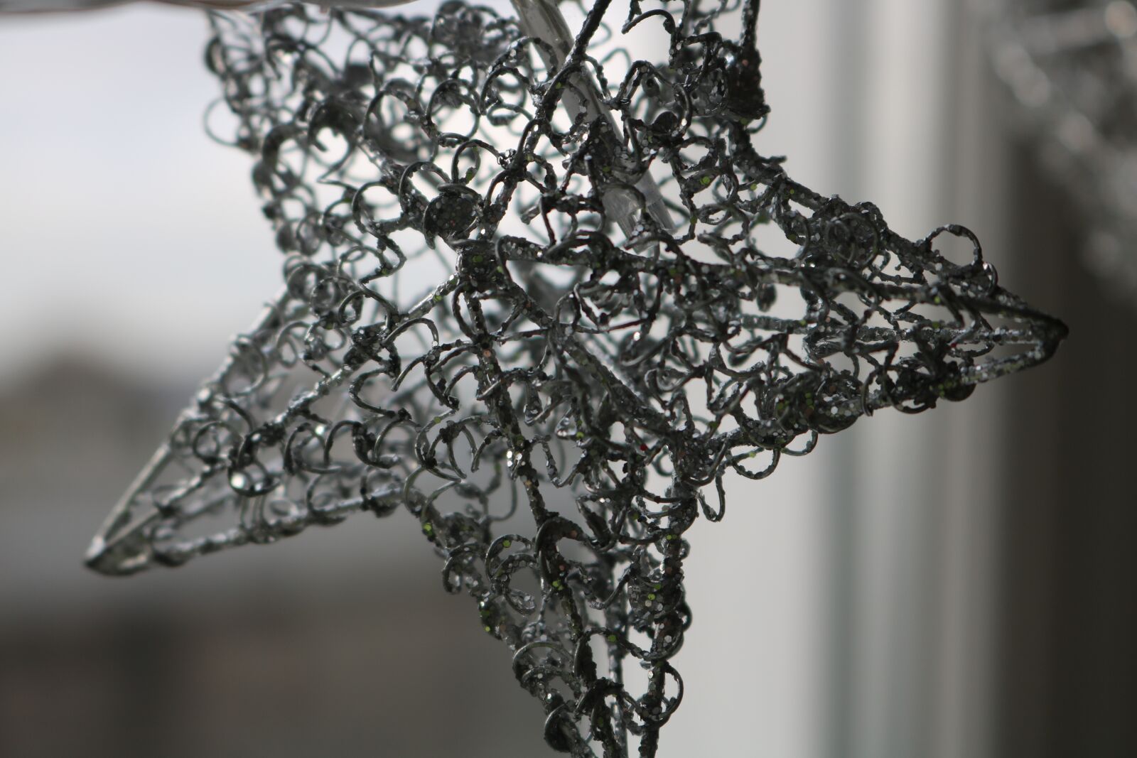 Canon EOS 750D (EOS Rebel T6i / EOS Kiss X8i) sample photo. Grey, star, decoration photography