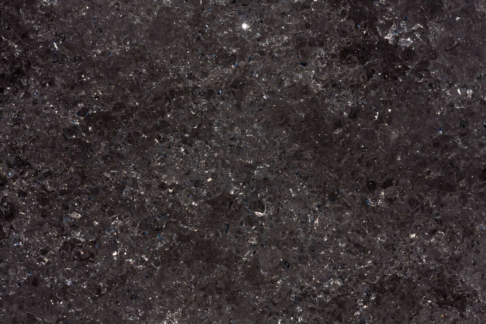 Canon EF 180mm F3.5L Macro USM sample photo