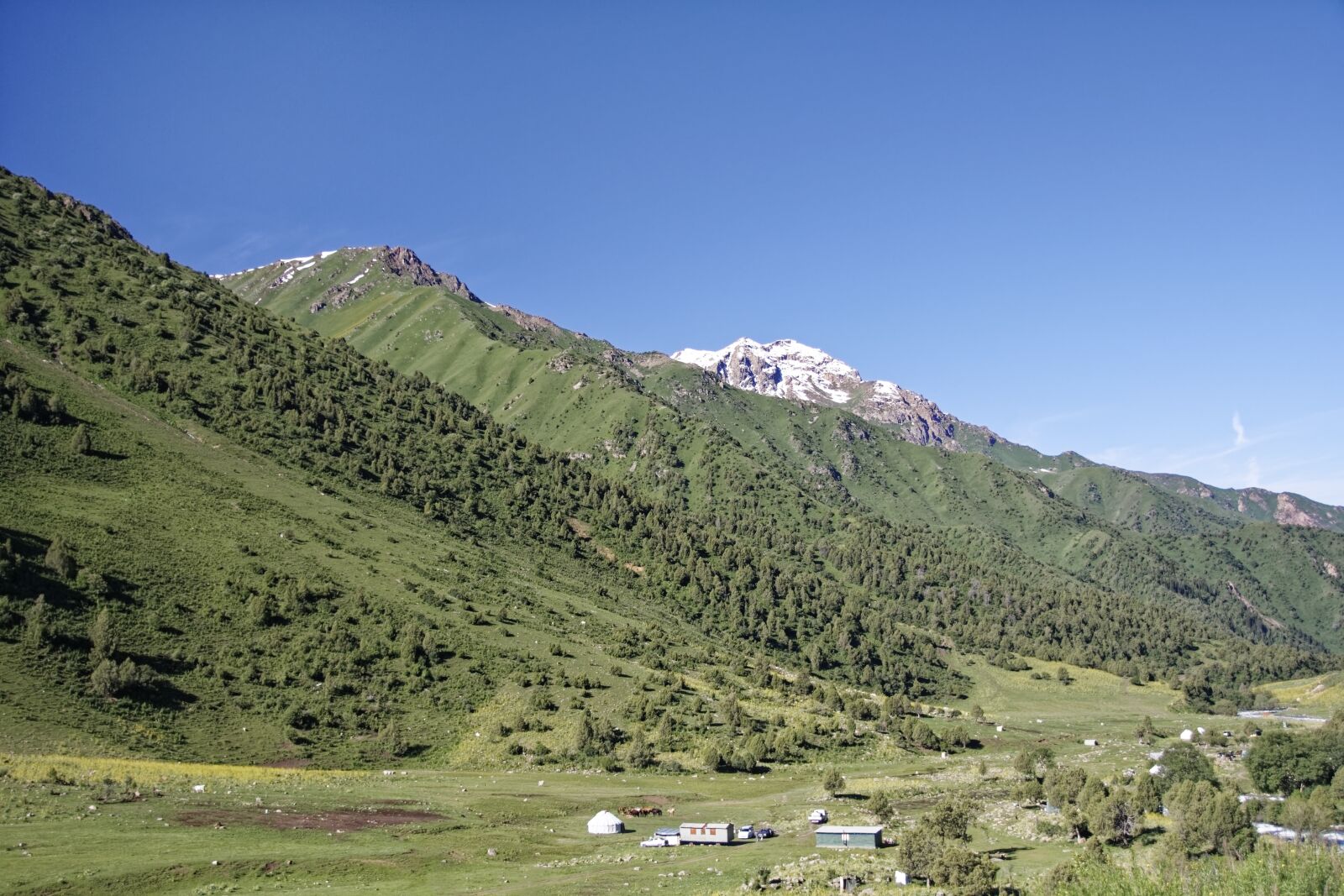 Nikon D500 sample photo. Kyrgyzstan, chychkan valley, tschytschkan photography