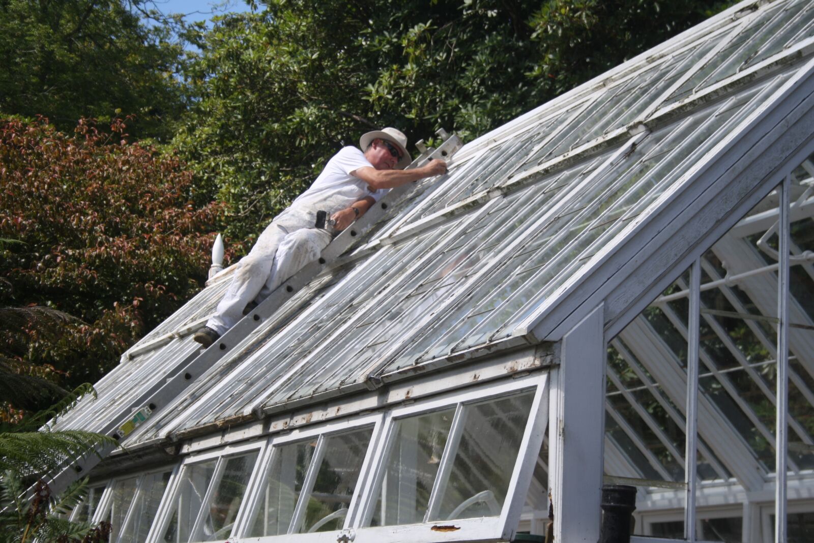 Canon EOS 1000D (EOS Digital Rebel XS / EOS Kiss F) sample photo. Glasshouse, cultivate, countryside photography