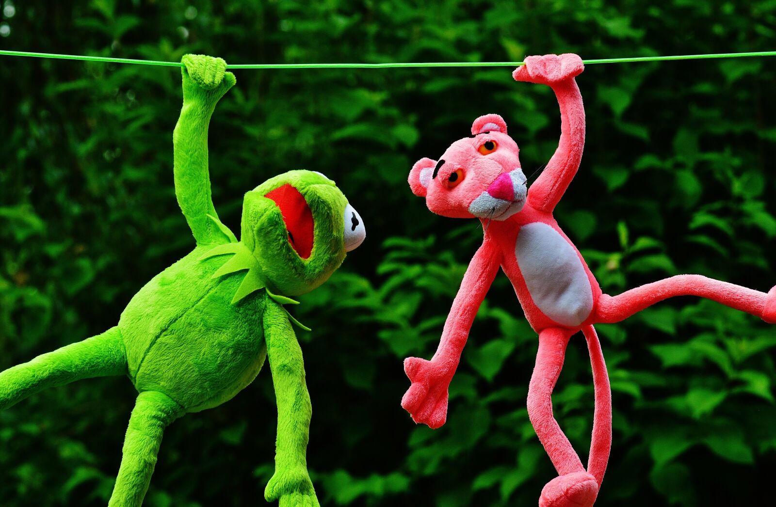 Nikon D3200 sample photo. Hang out, plush toys photography