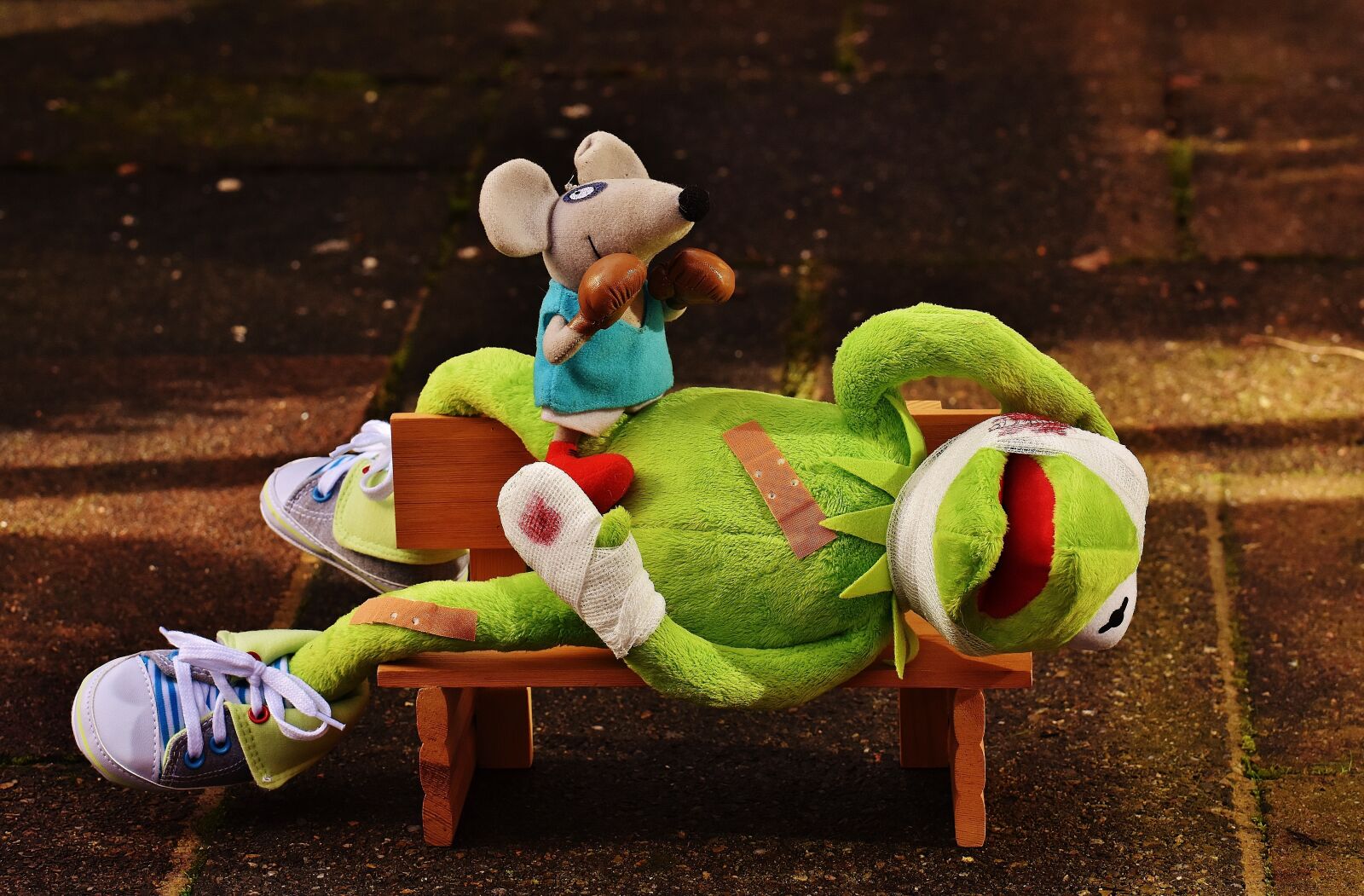 Nikon D7200 sample photo. Kermit, mouse, stuffed animal photography
