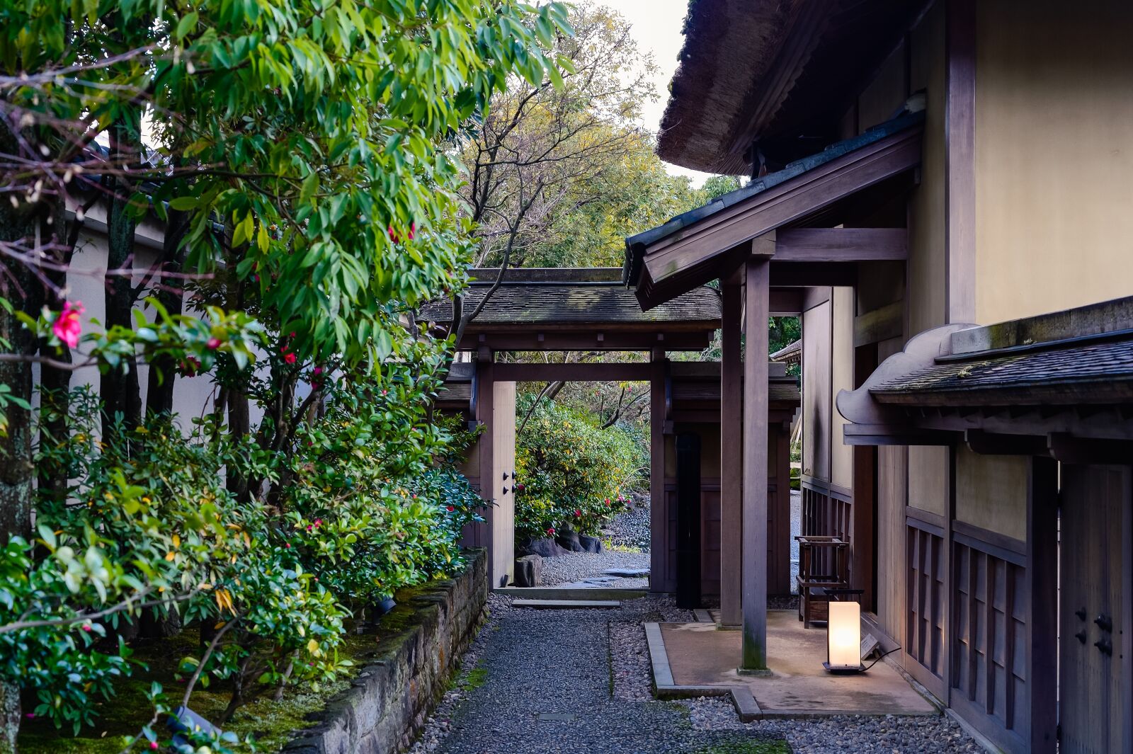Nikon Df sample photo. Japan, landscape, houses photography