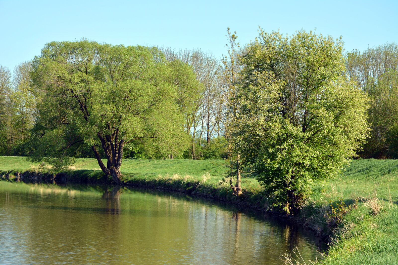 Nikon D5200 sample photo. Panorama, mangfall, green photography