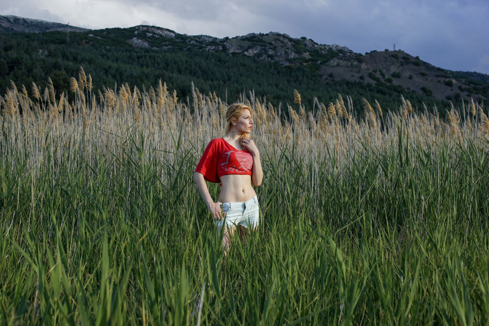 Canon Rebel T2i Canon 550d Photo Samples Canon TS E Canon EOS 550D