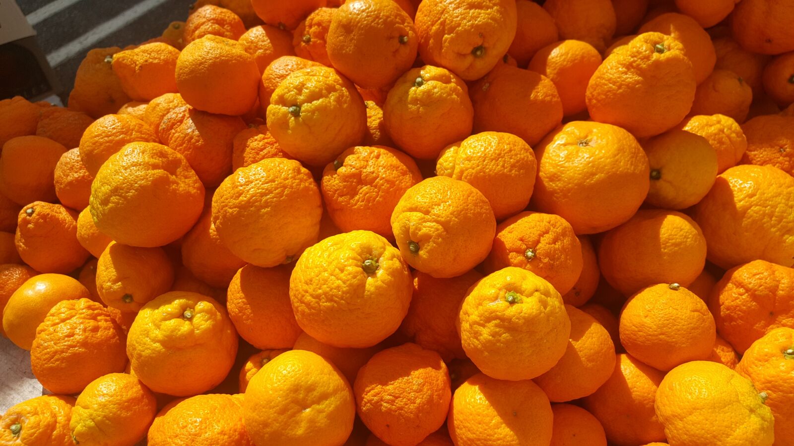 Samsung GALAXY S6 edge sample photo. Orange, california, sunshine photography