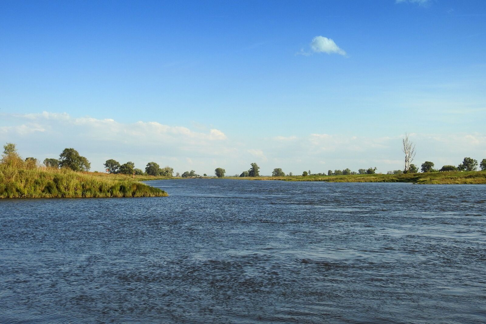 Nikon Coolpix P900 sample photo. Landscape, elbe, river photography