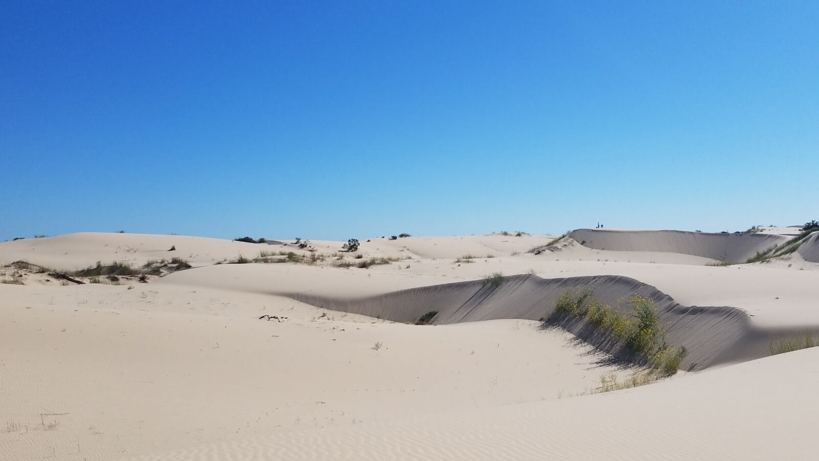 Samsung Galaxy S7 Active sample photo. Desert, texas, monahans photography