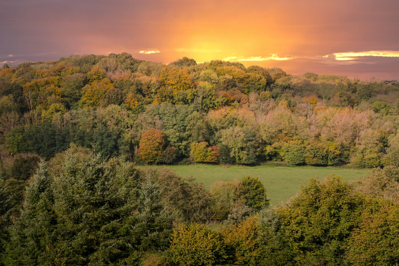 Nikon D7000 sample photo. Fall, color, fire photography