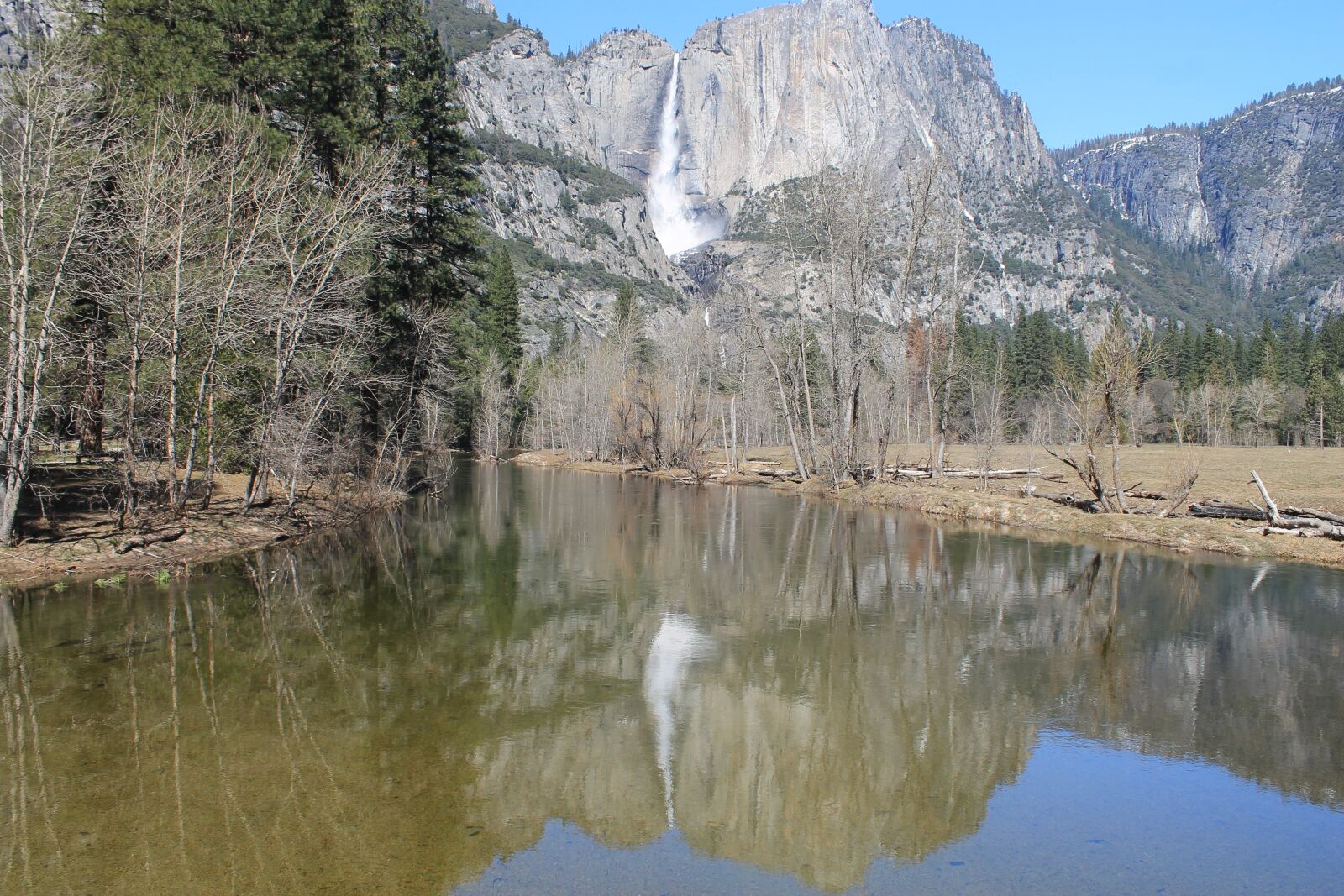 Canon EOS 1100D (EOS Rebel T3 / EOS Kiss X50) sample photo. El capitan, yosemite, tree photography