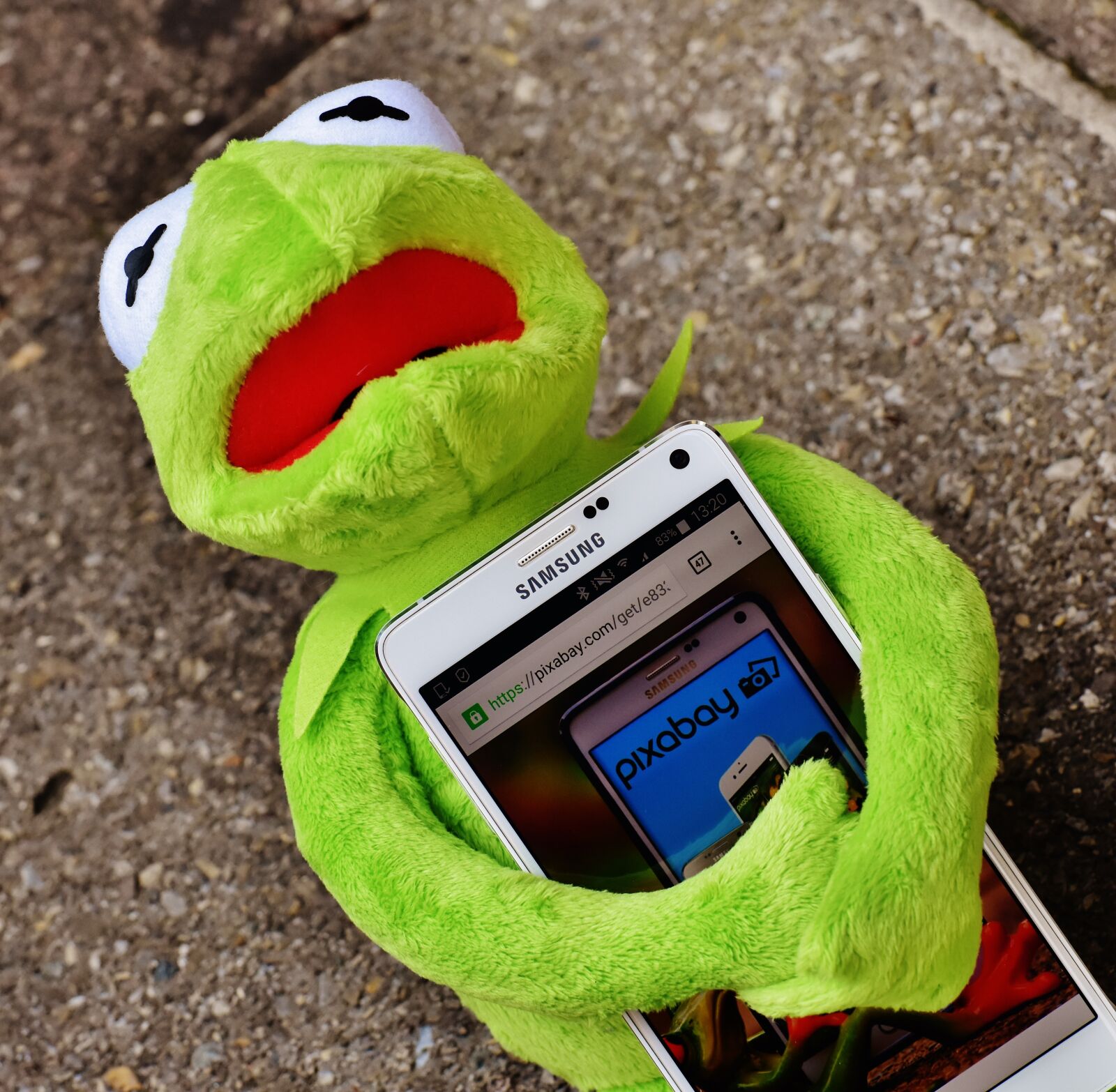 Nikon D7200 sample photo. Kermit, frog, smartphone photography