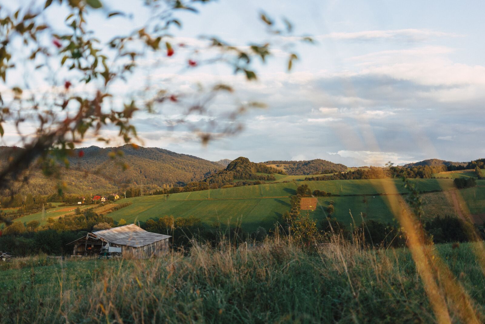 Canon EF 40mm F2.8 STM sample photo. Nature, autumn, bieszczady photography