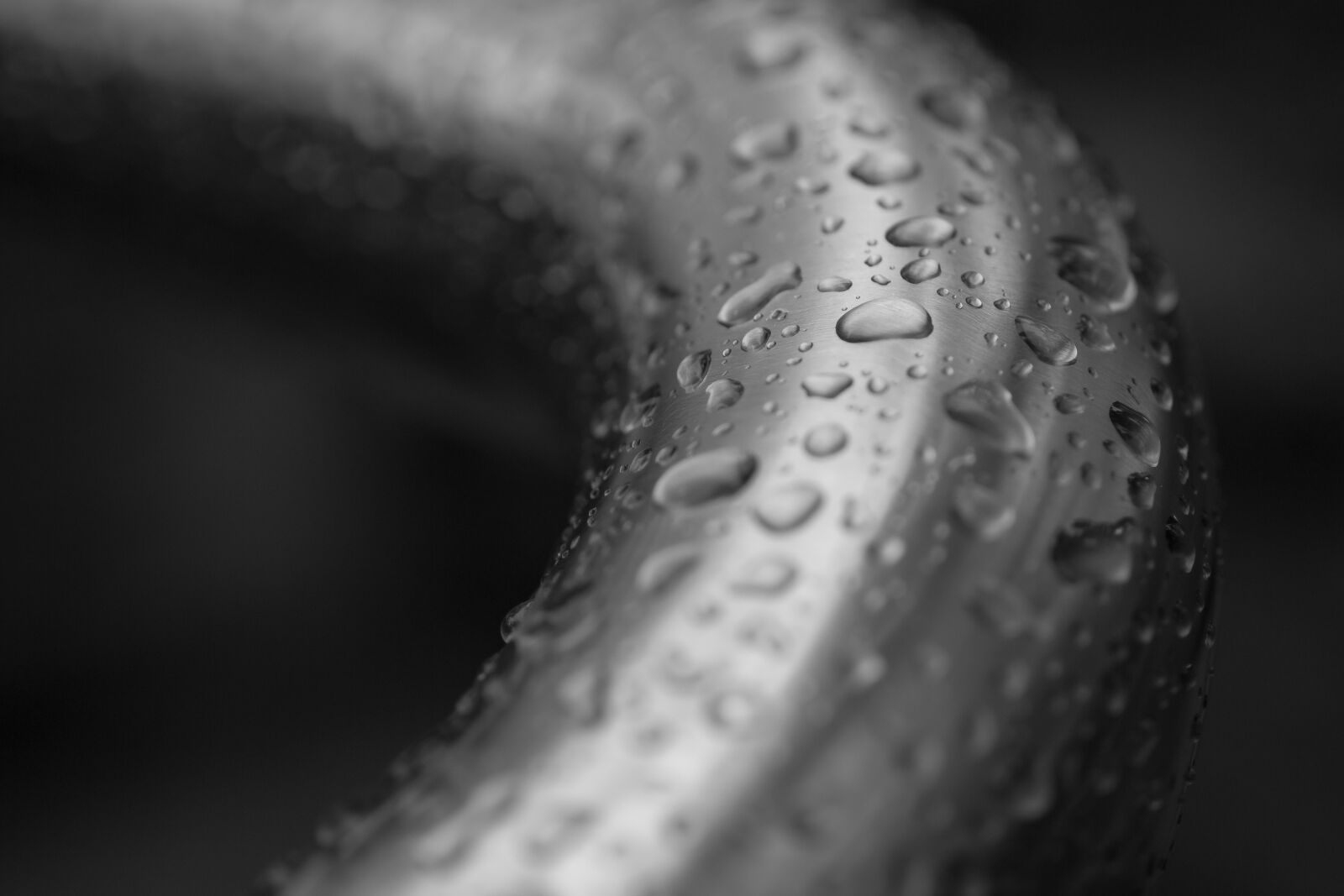 Canon EOS 600D (Rebel EOS T3i / EOS Kiss X5) + Canon EF 50mm F2.5 Macro sample photo. Drop of rain, closeup photography