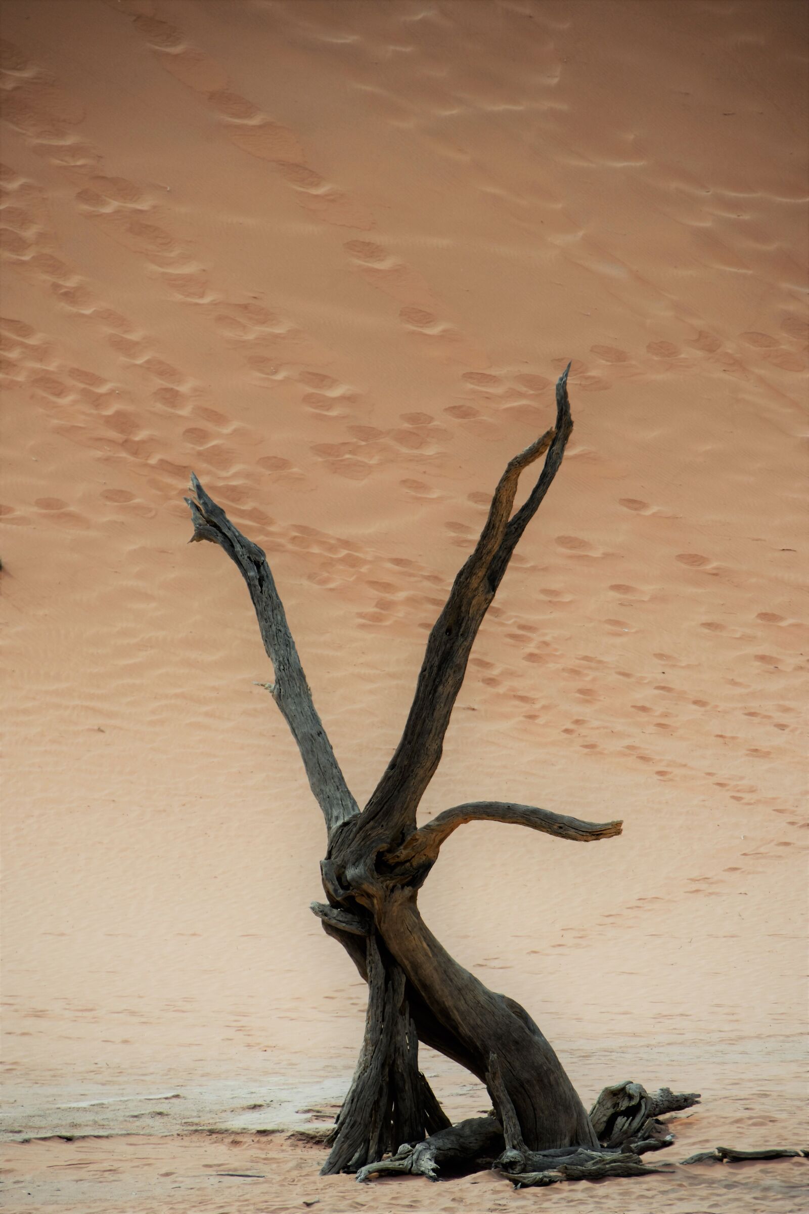 Nikon D7200 sample photo. Sand, nature, africa photography