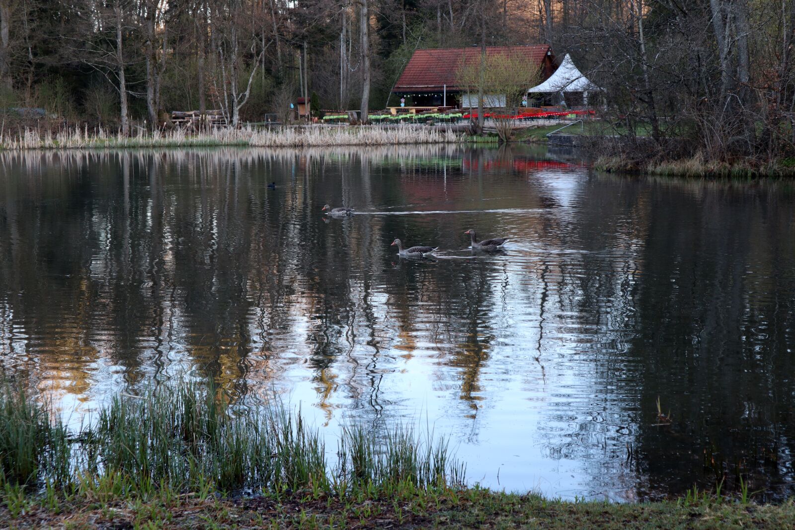Canon EOS M50 (EOS Kiss M) sample photo. Water, lake, nature photography