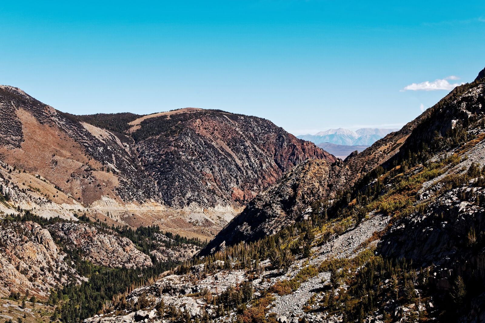 Nikon D50 sample photo. Pass, road, california photography