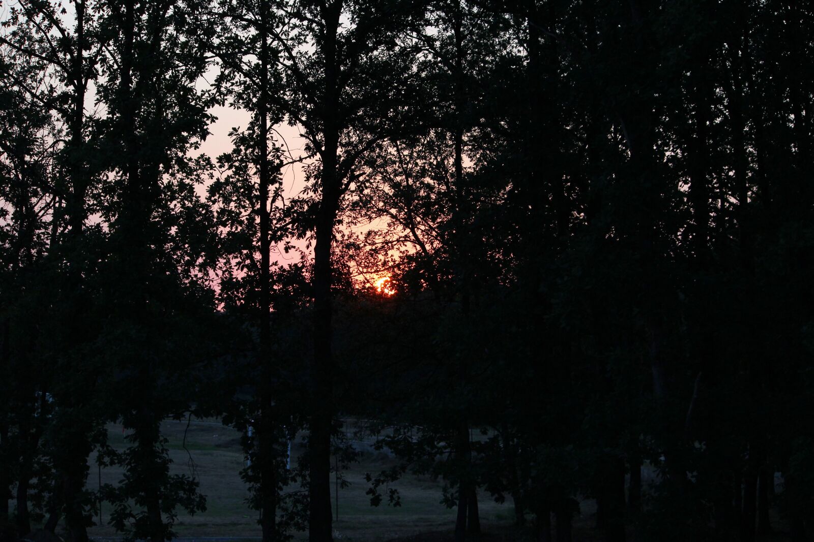 Canon EOS 600D (Rebel EOS T3i / EOS Kiss X5) sample photo. In, the, wood, sunset photography