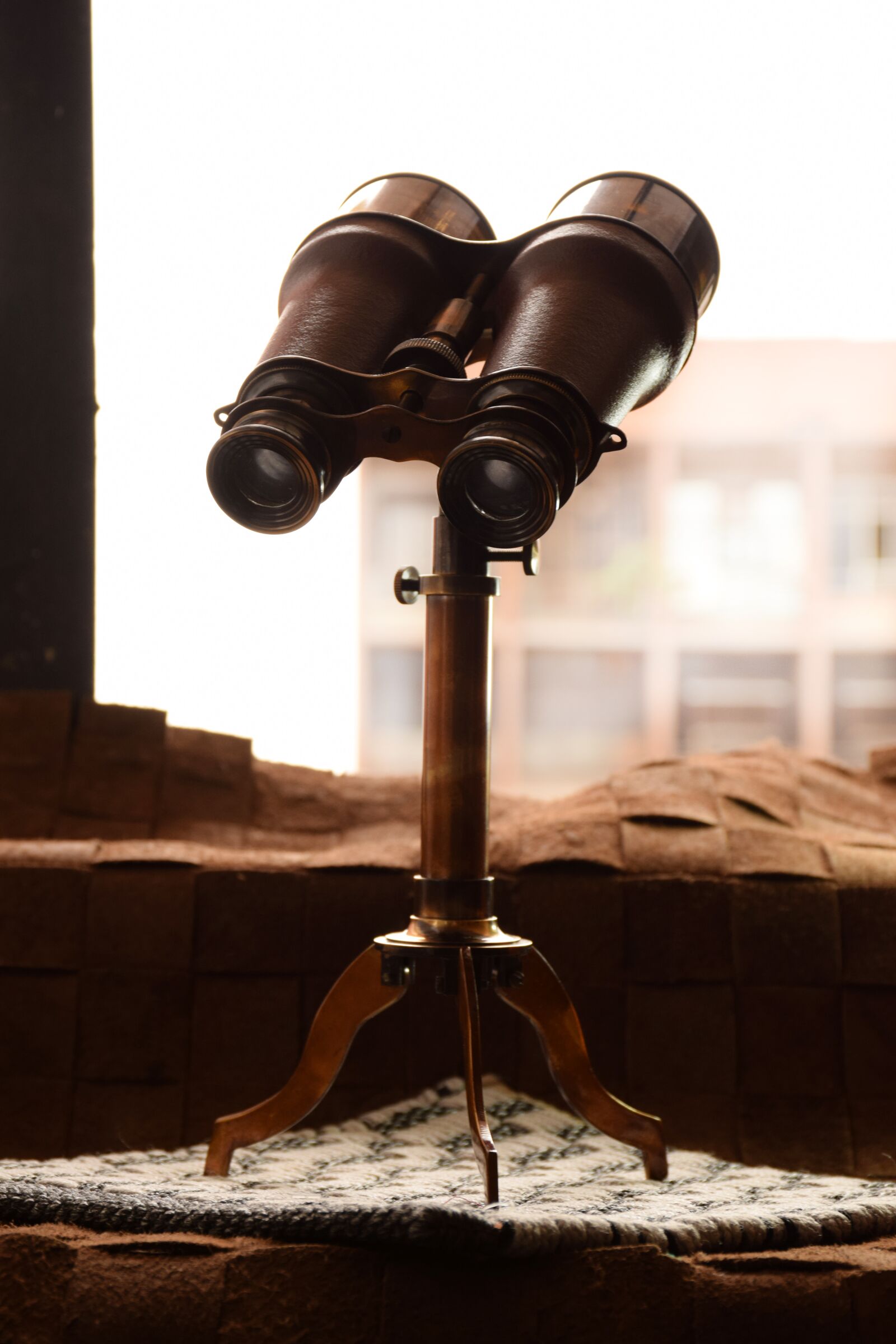 Nikon D5300 sample photo. Binocular, antque, art photography