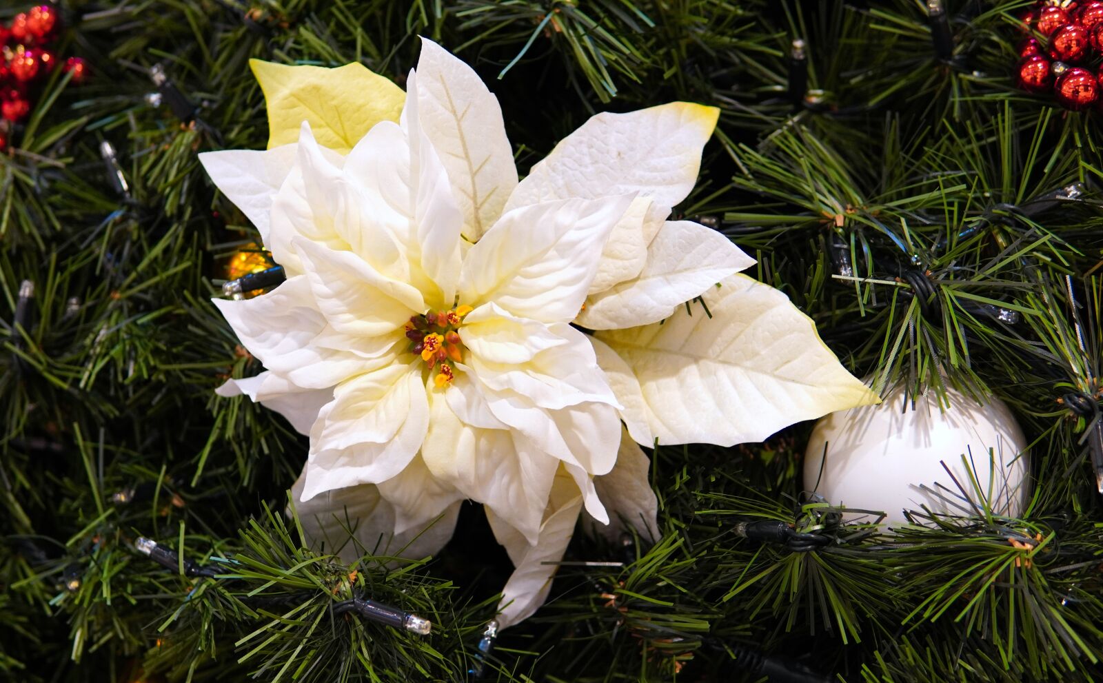 30mm F1.4 DC DN | Contemporary 016 sample photo. Christmas, christmas tree, christmas photography
