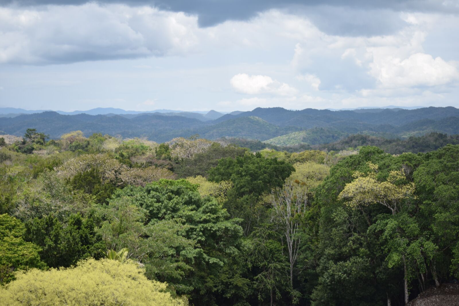 Nikon D3300 sample photo. Belize, mayan ruins, treetops photography