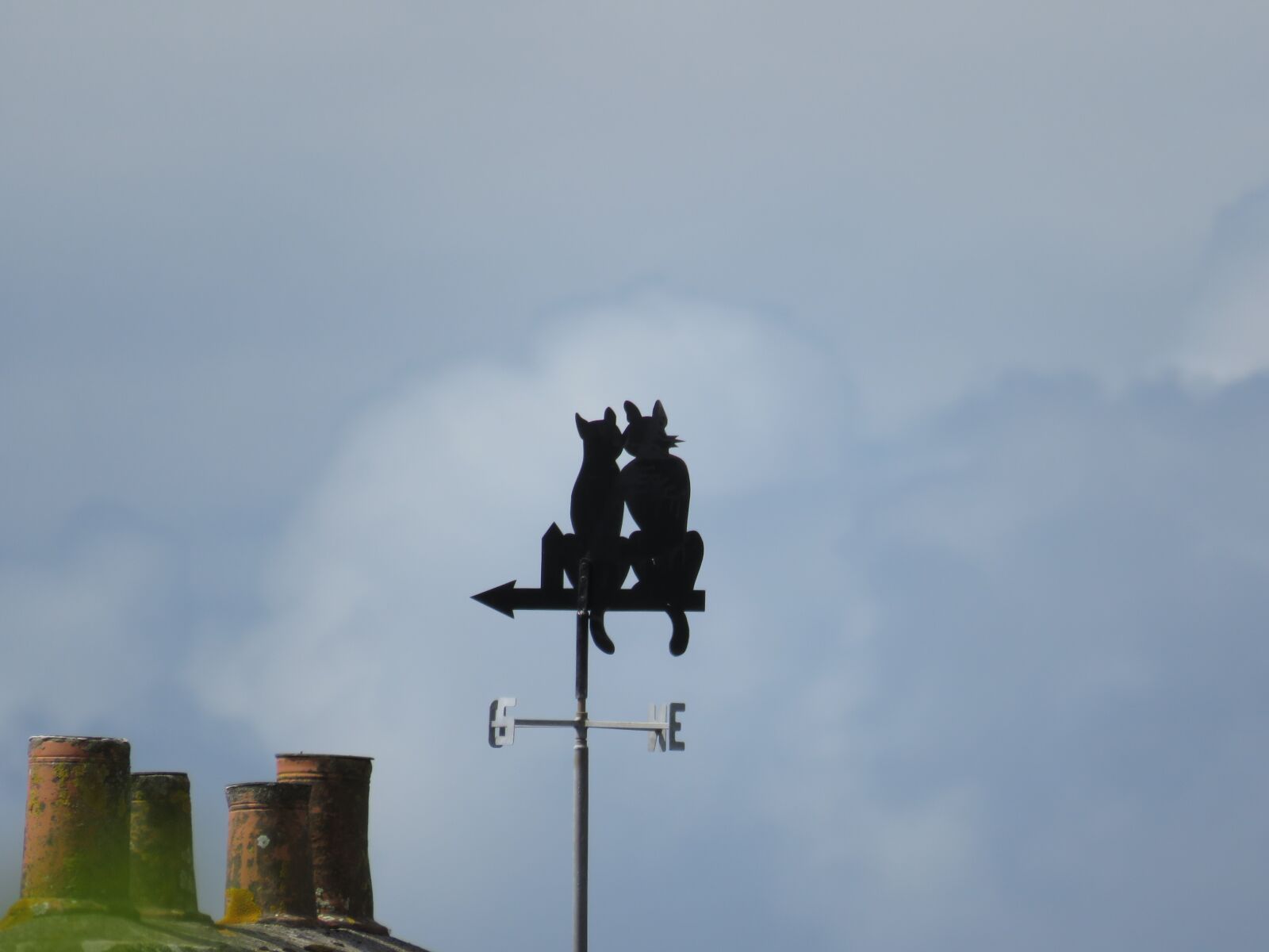 Canon PowerShot SX540 HS sample photo. Weather vane, cat, wind photography