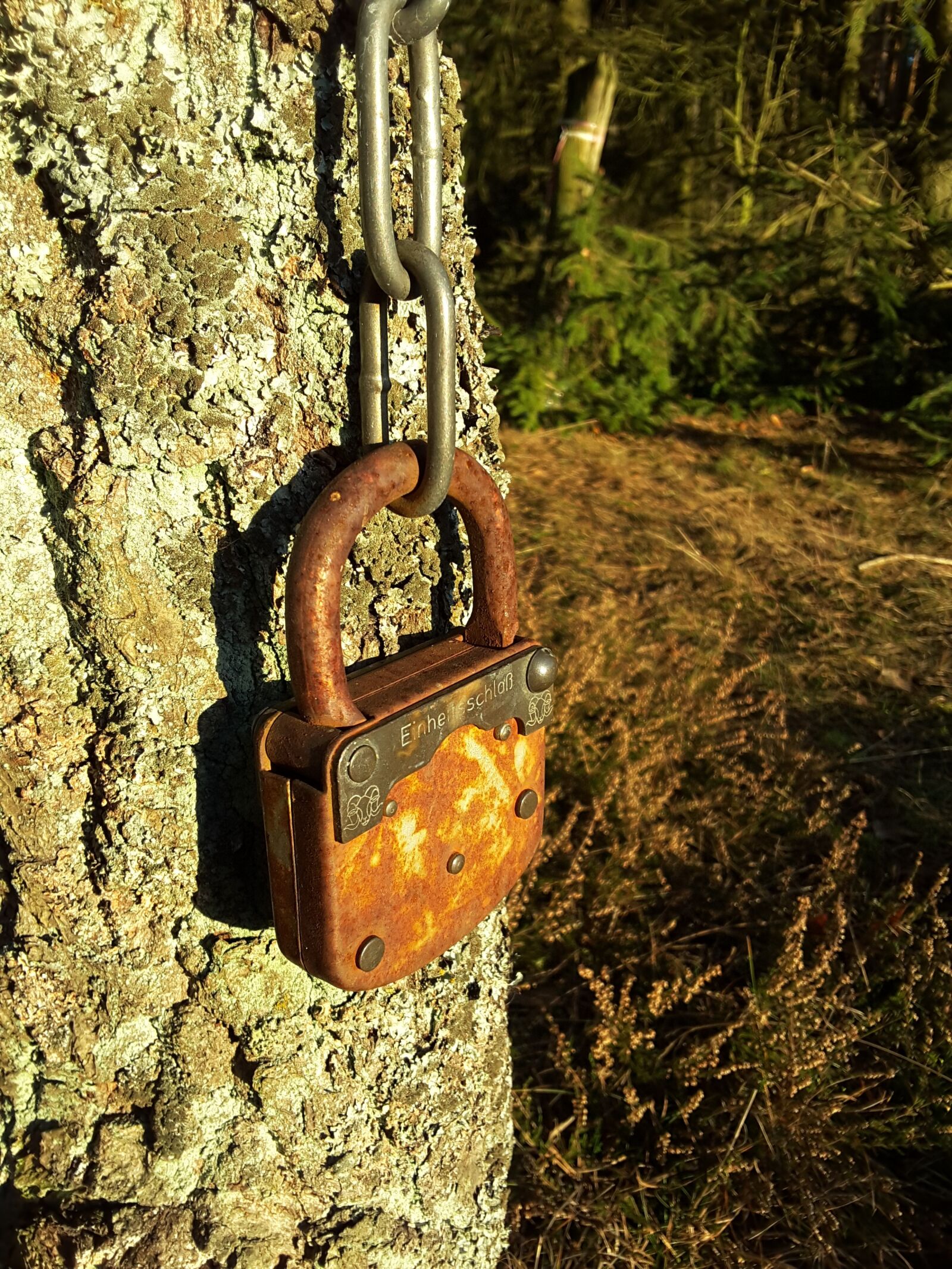 Samsung Galaxy Tab S2 sample photo. Castle, rust, elder photography