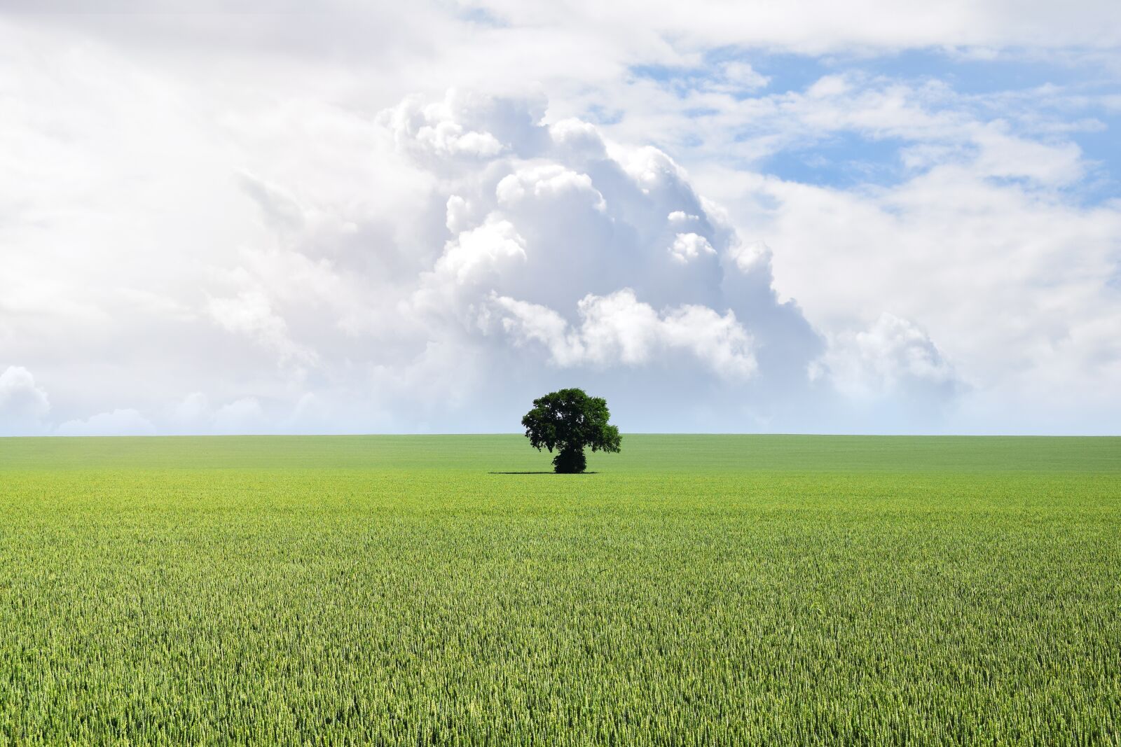 Nikon D3300 sample photo. Blue, cloud, copy space photography