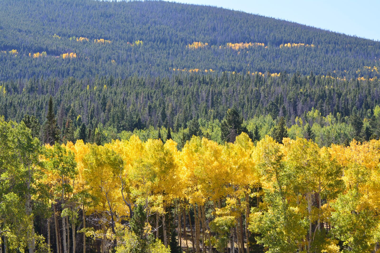 Nikon D5200 sample photo. Landscape, mountains, scenic photography