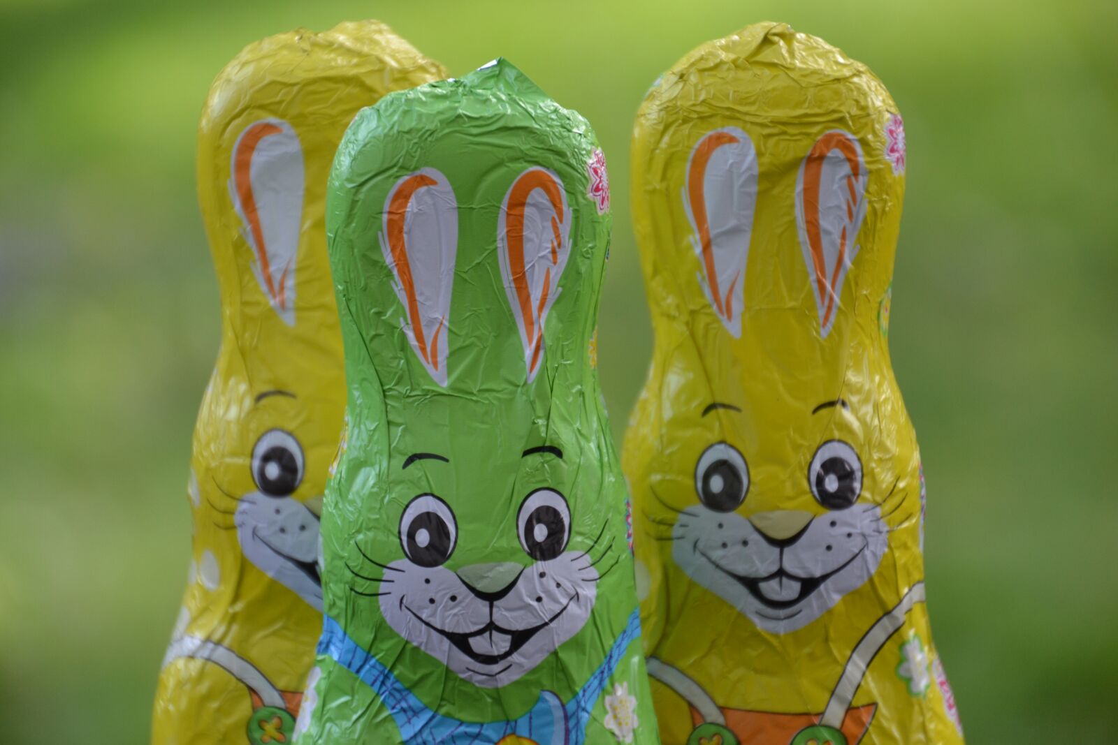 Nikon D3100 sample photo. Rabbit ears, easter bunny photography