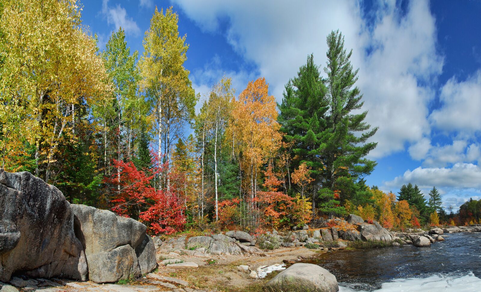 Nikon D200 sample photo. Autumn, fall, colors photography