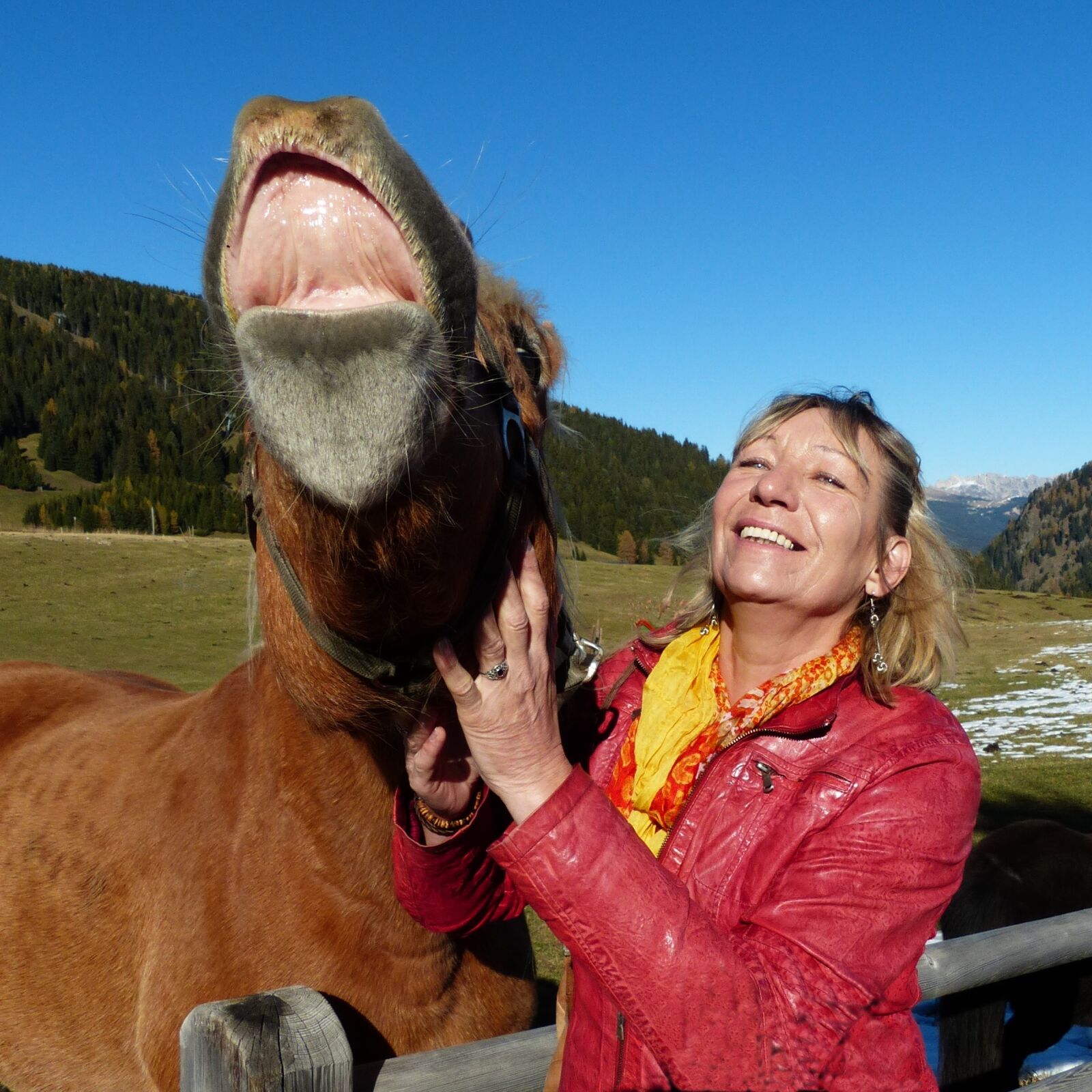 Panasonic Lumix DMC-FZ200 sample photo. To the neigh, parallels photography