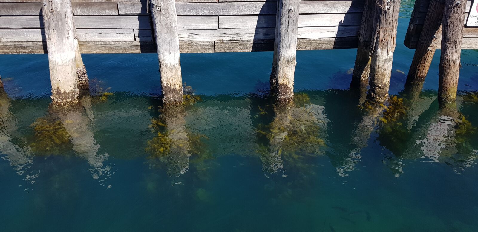 Samsung SM-G955F sample photo. Underwater, pylons, fish photography