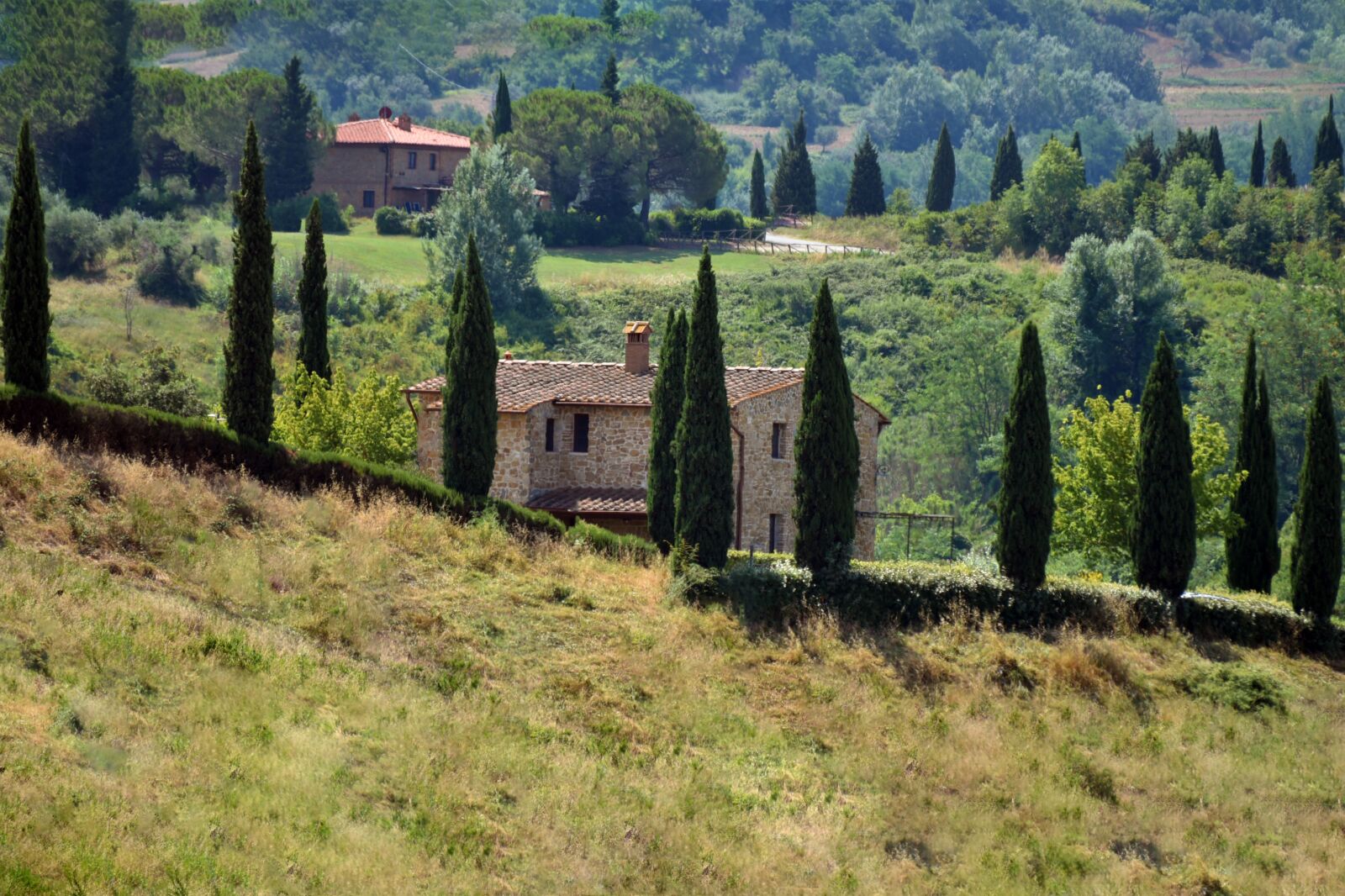 Nikon D750 sample photo. Italy, toscana, green photography