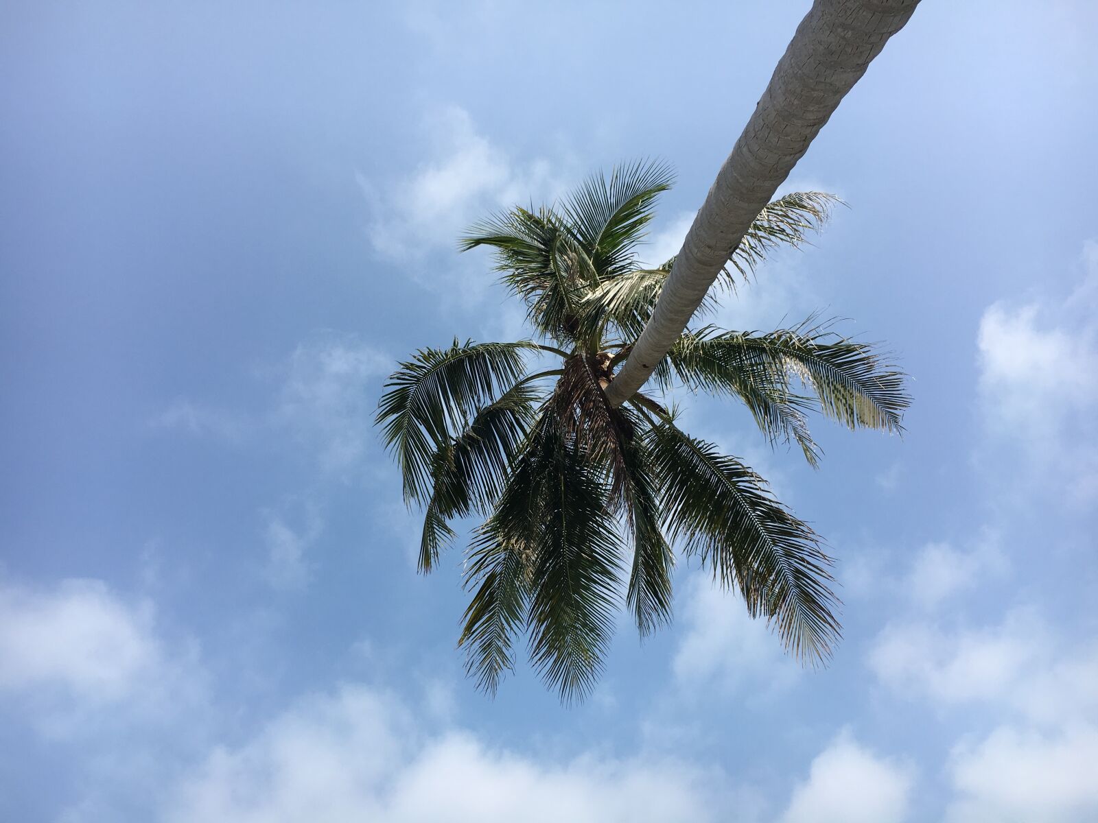 Apple iPhone 6s sample photo. Asia, thailand, vacations photography