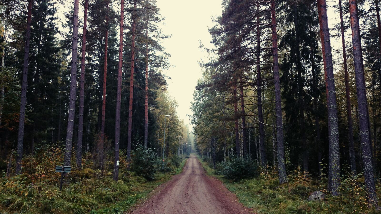 Sony Xperia Z1 sample photo. Nature, street, trees photography