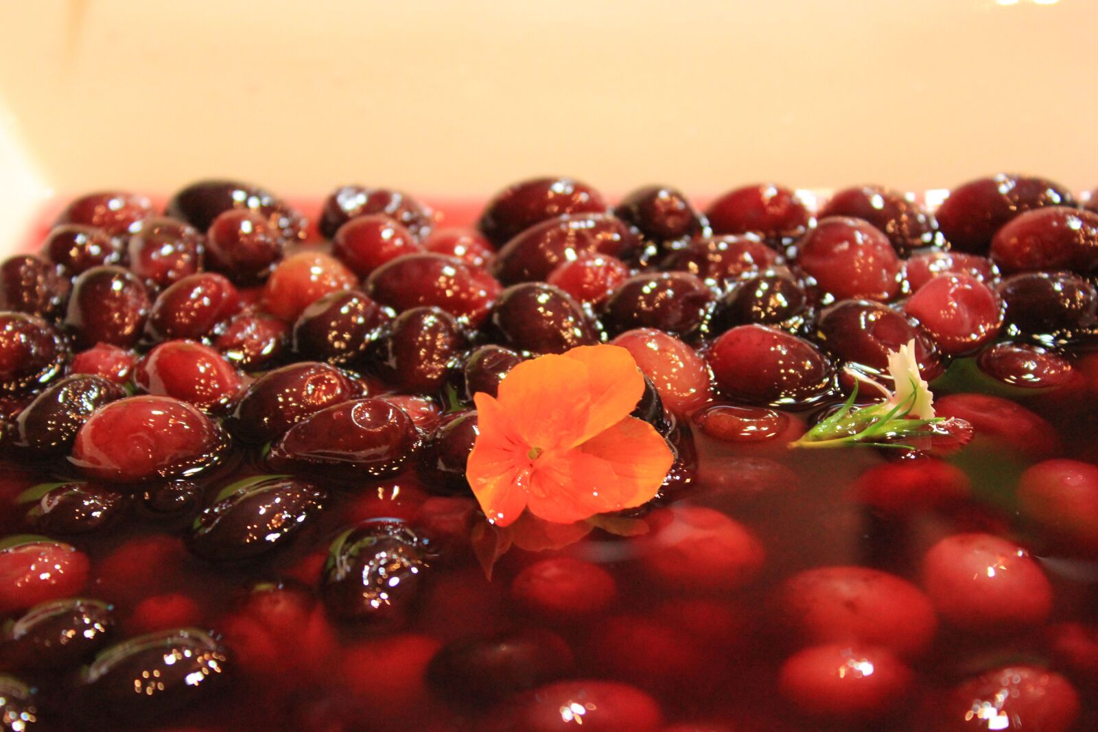 Canon EOS 550D (EOS Rebel T2i / EOS Kiss X4) sample photo. Dessert, sherrie, fruit photography