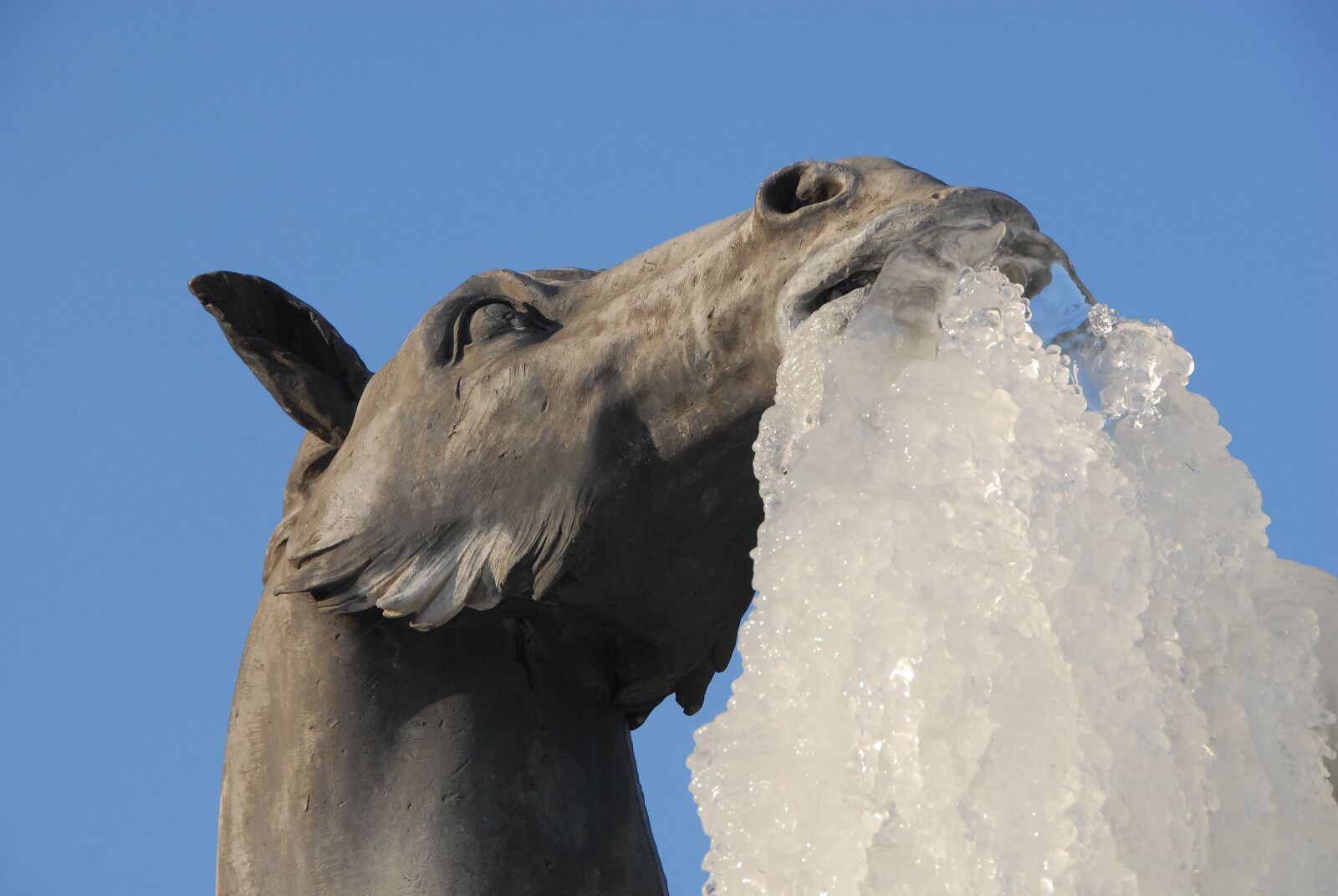 Nikon D200 sample photo. Horse, statue, ice photography