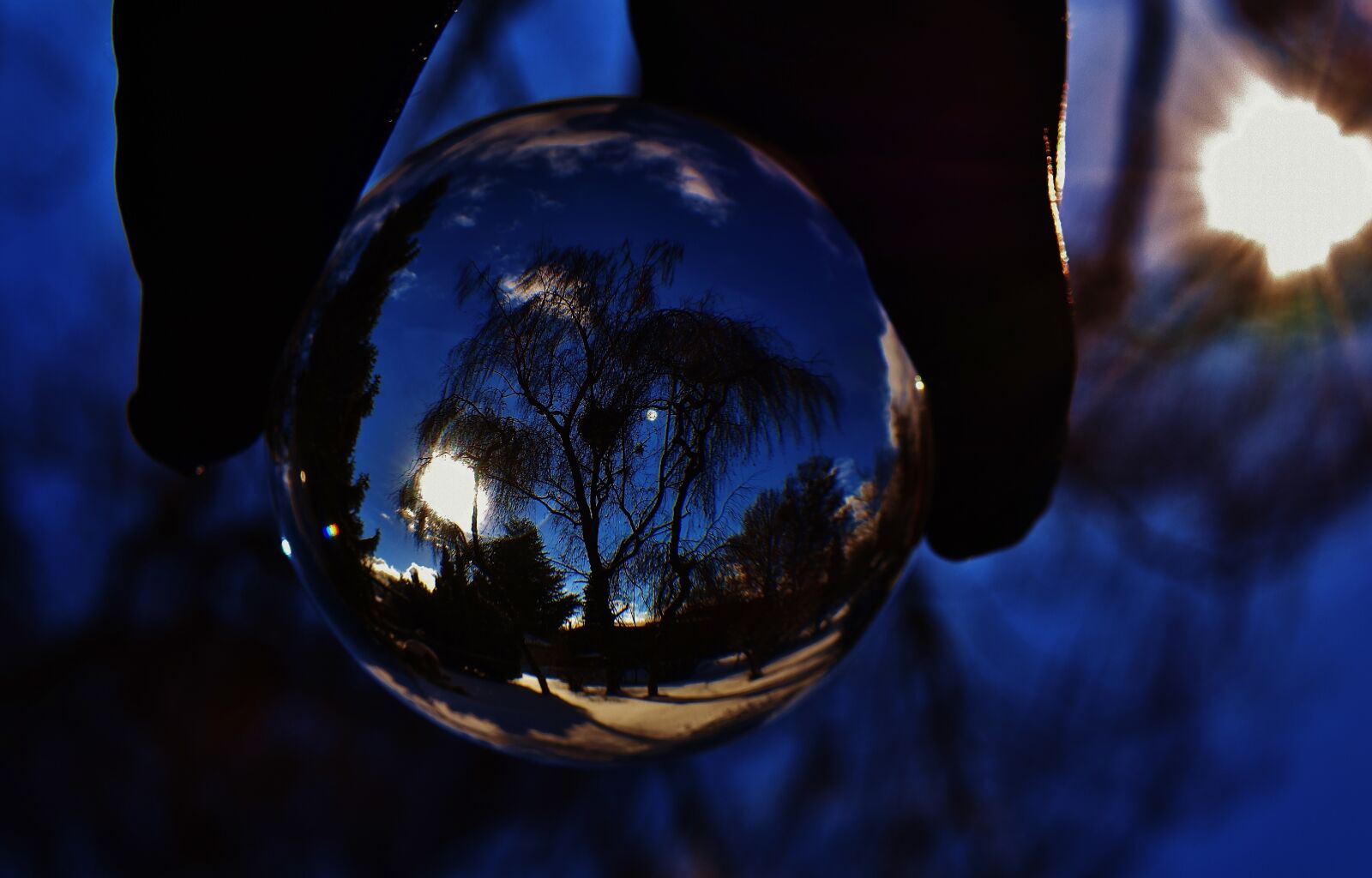 Nikon D7200 sample photo. Glass ball, trees, night photography