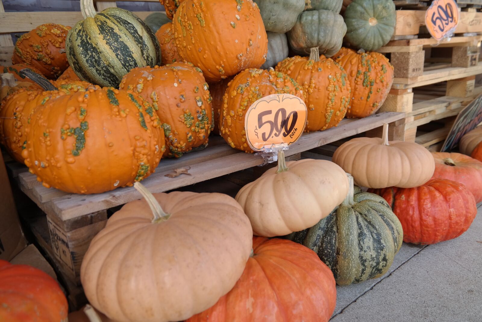 Samsung NX300 sample photo. Pumpkins, autumn, halloween photography