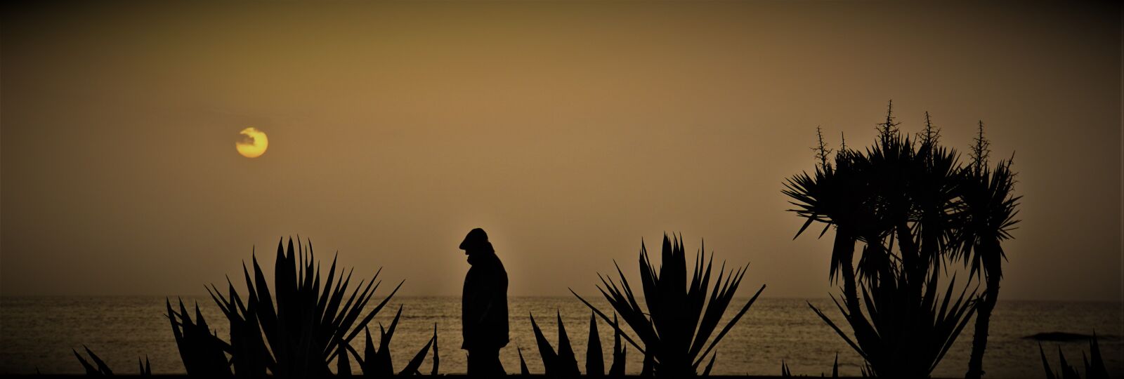 Sony a6000 + Sony E 18-200mm F3.5-6.3 OSS LE sample photo. Sunset, abendstimmung, background photography