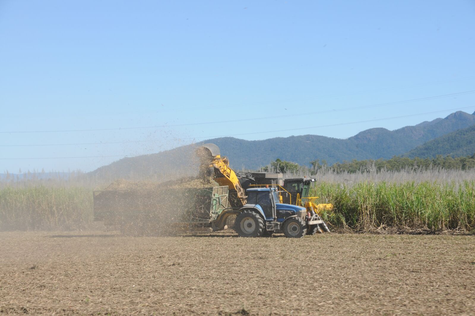 Nikon D300 sample photo. Sugar, cane, harvest photography