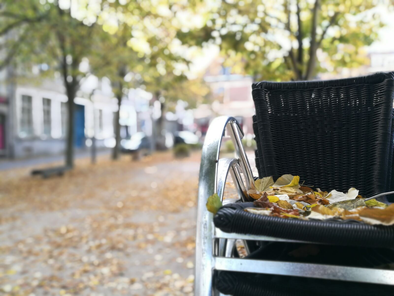 HUAWEI P9 sample photo. Autumn, leaf, autumn, leaves photography