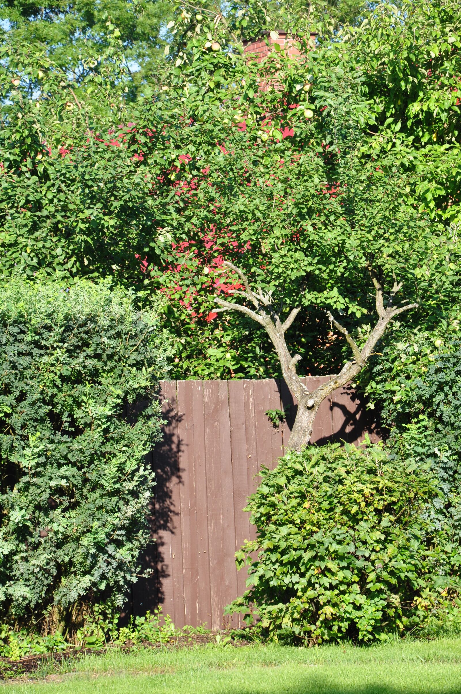 Nikon D90 sample photo. Garden, gateway, gate photography