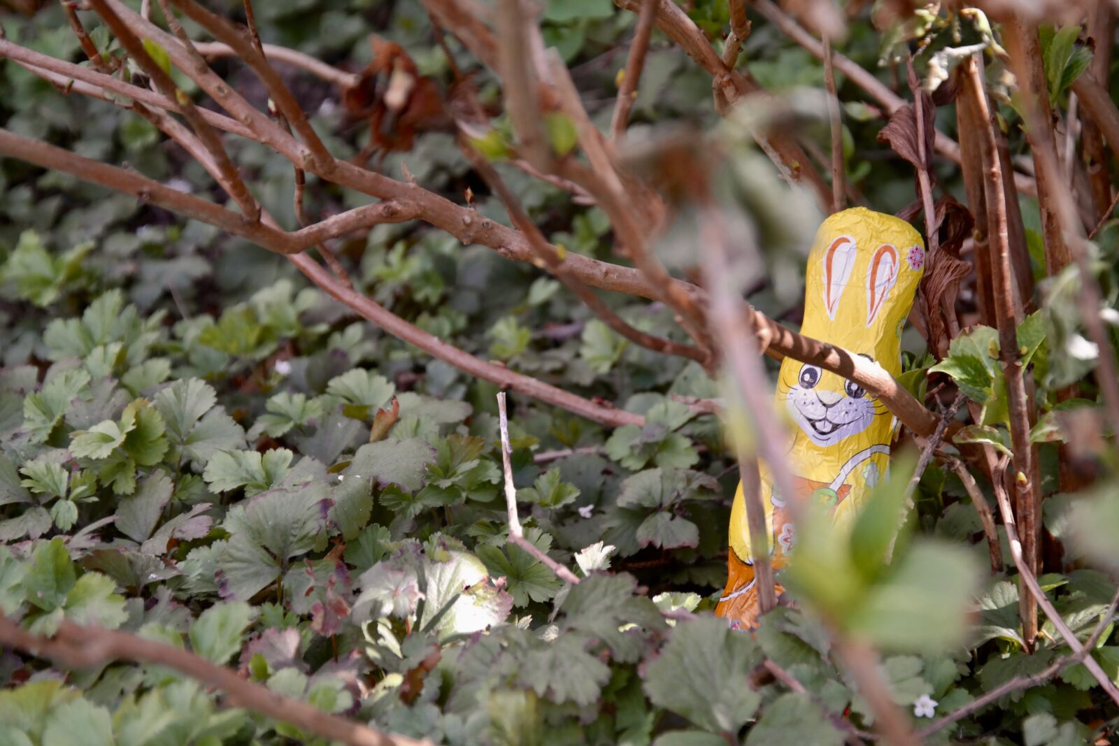 Samsung NX300 sample photo. Easter bunny, easter egg photography
