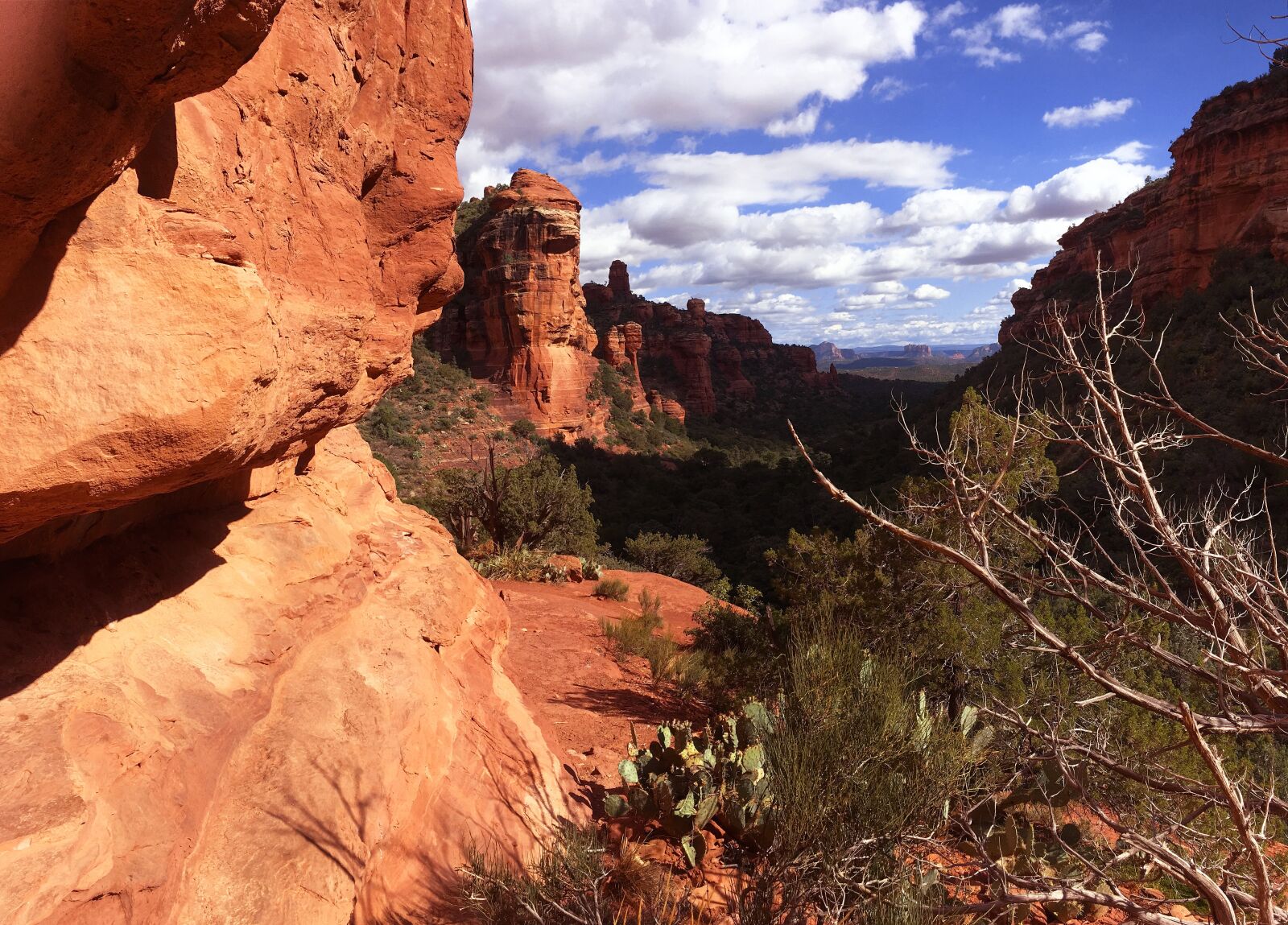 iPhone SE back camera 4.15mm f/2.2 sample photo. Sedona, arizona, southwest photography