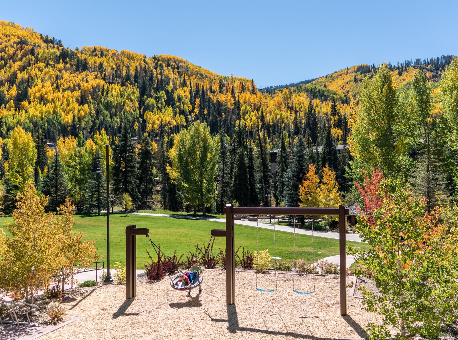 Sony a7R II + Sony FE 24-240mm F3.5-6.3 OSS sample photo. Vail, colorado, foliage photography