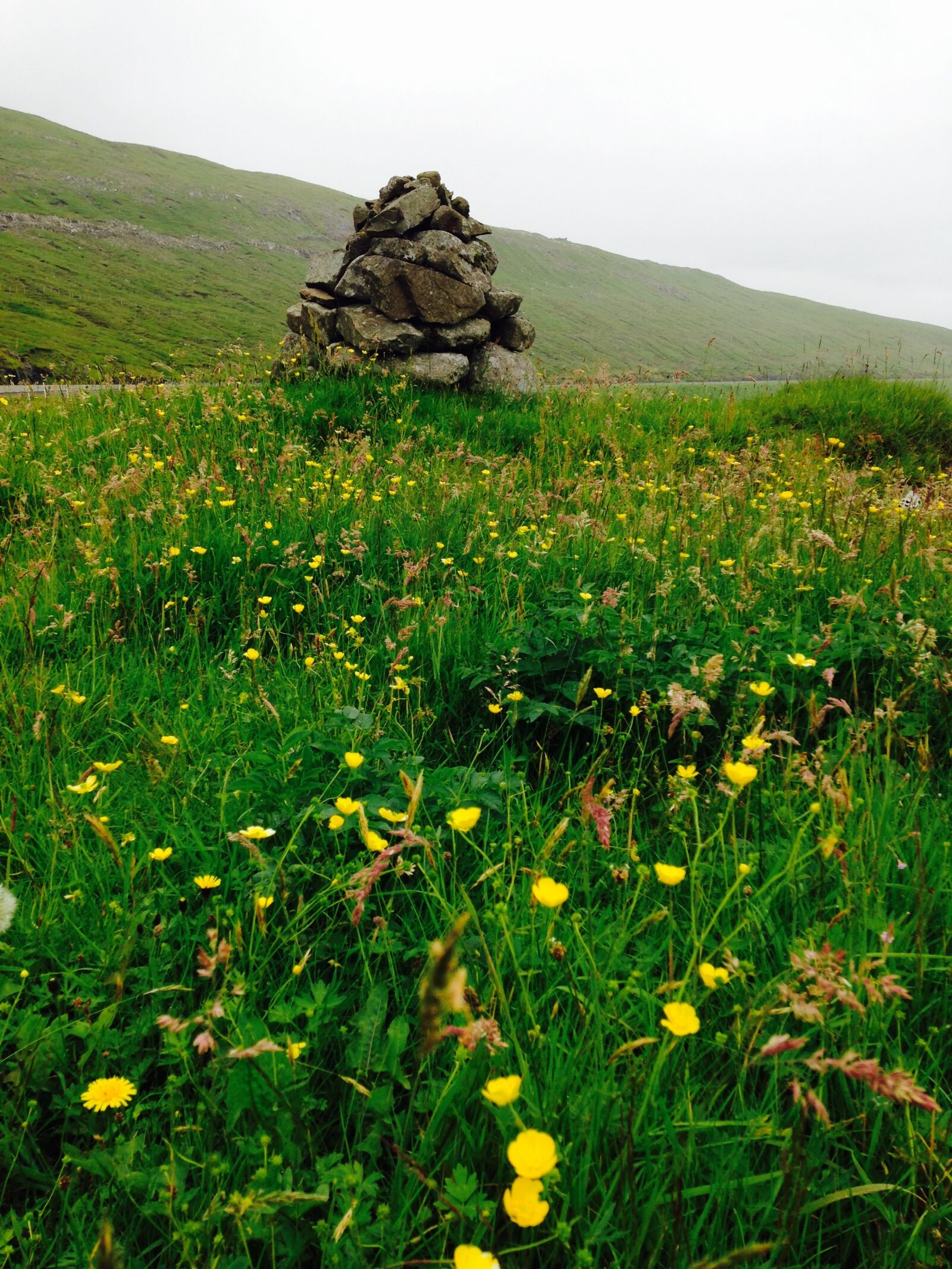 iPhone 5c back camera 4.12mm f/2.4 sample photo. Faroeislands, nature, faroe photography