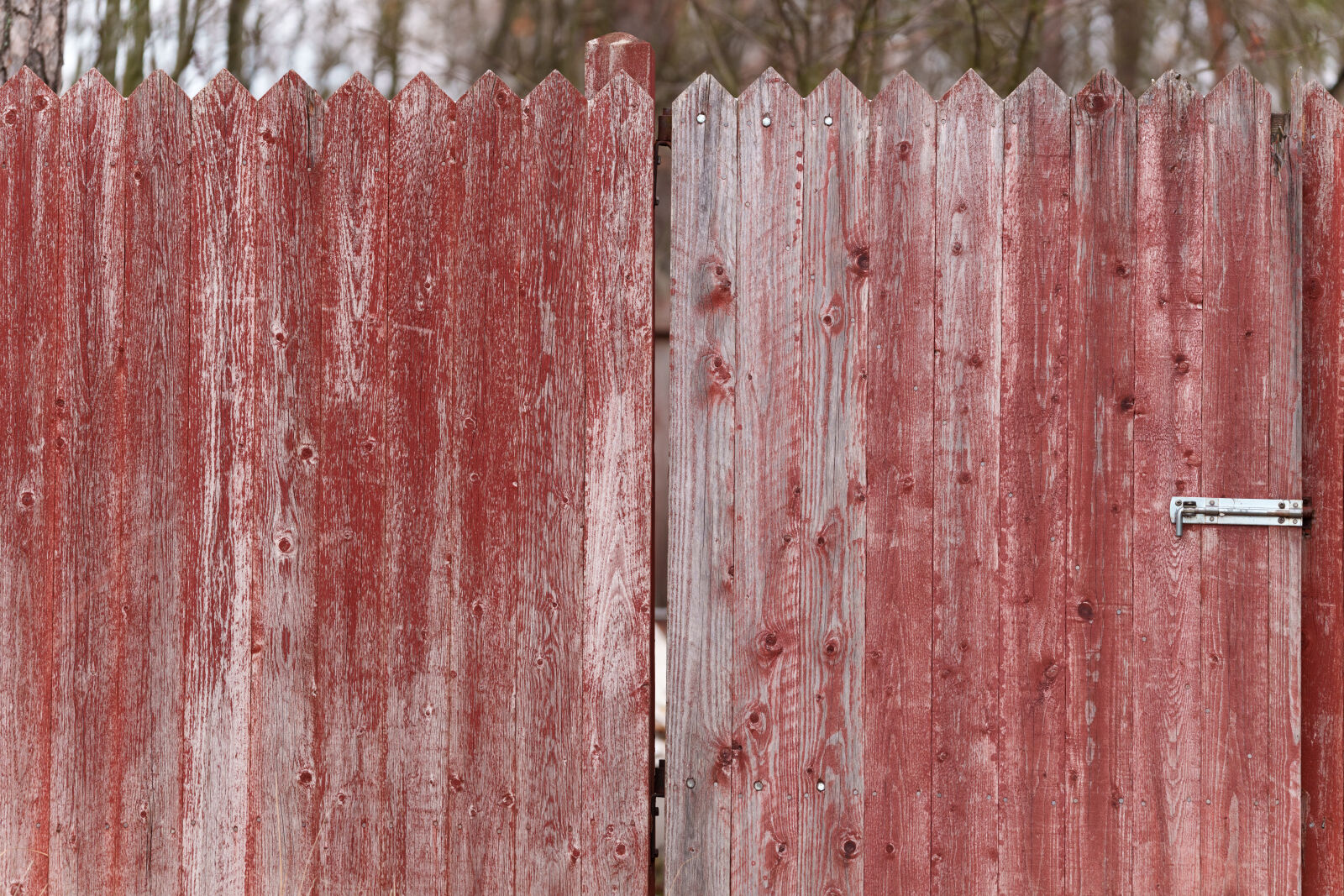 Sigma 70-200mm F2.8 DG DN OS | Sports sample photo. Old fence photography