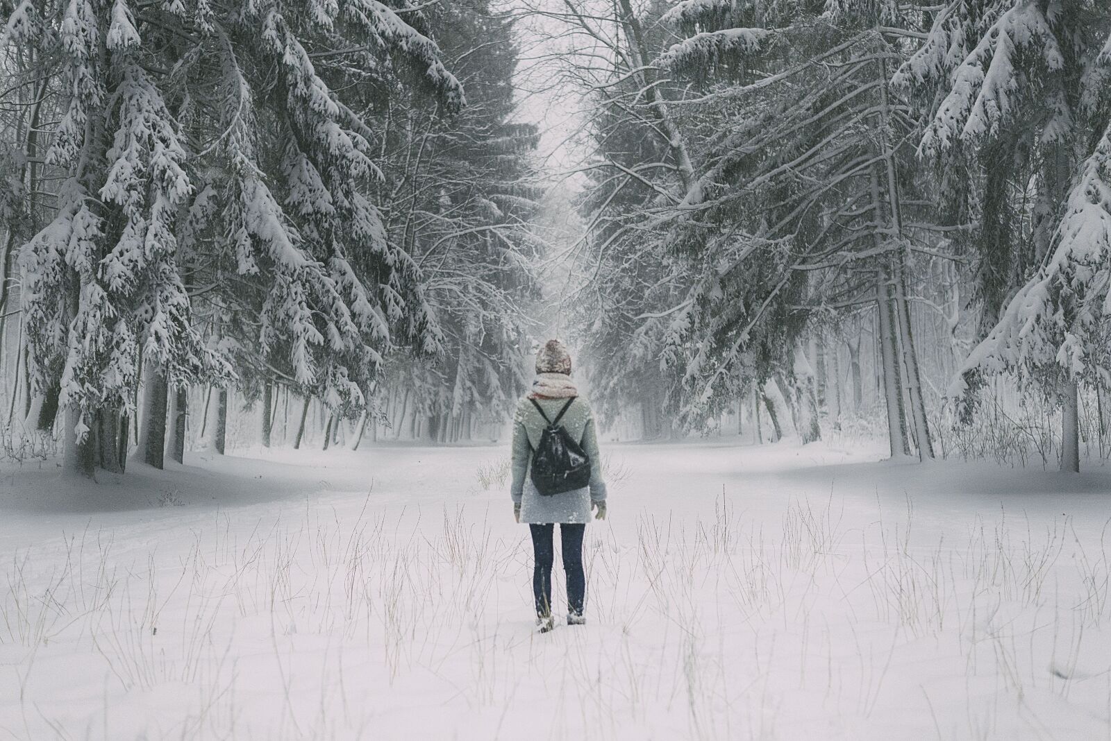 Nikon D600 sample photo. Snow, first snow, winter photography