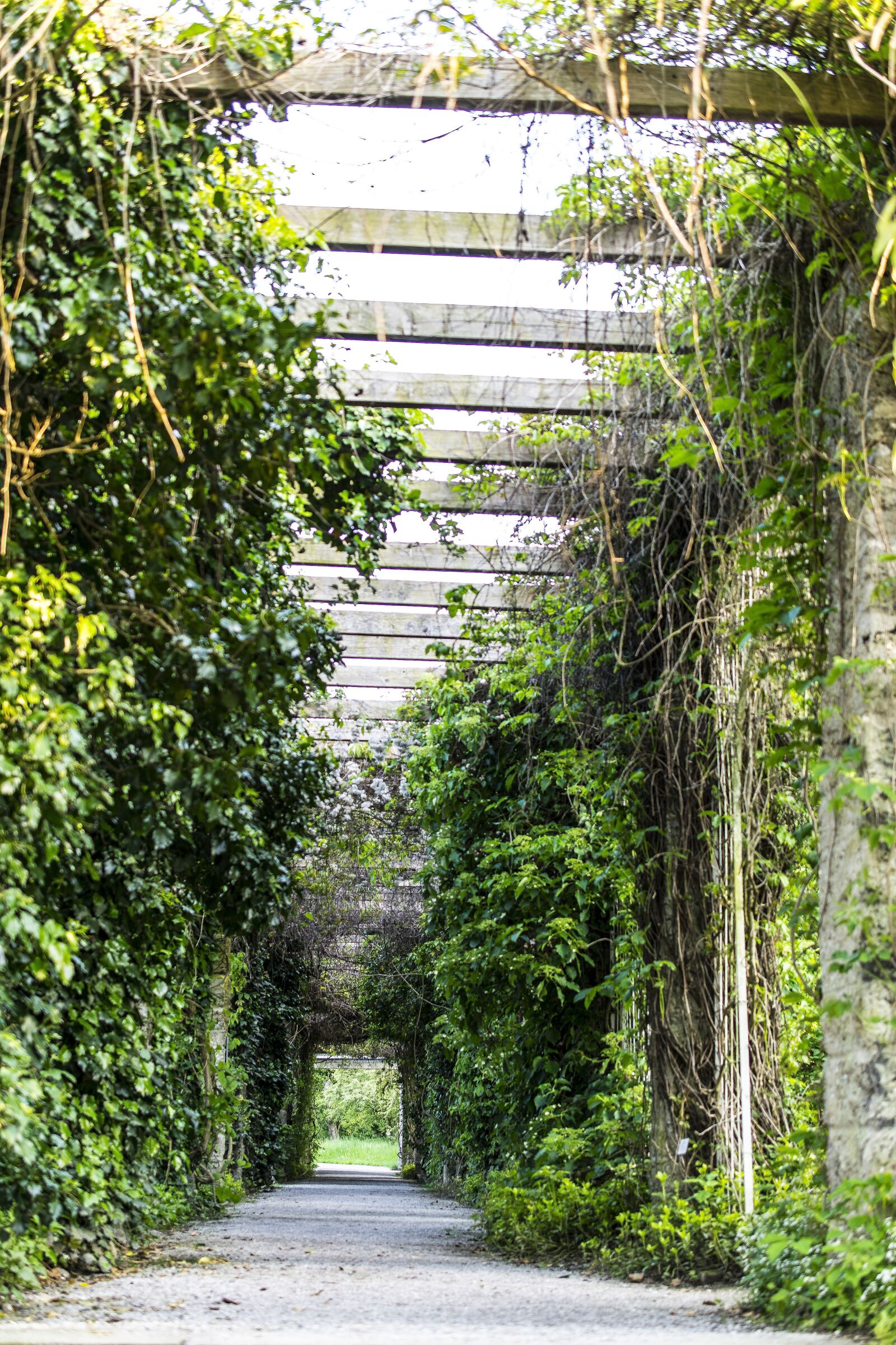 Nikon D5300 sample photo. Love tunnel, gang, away photography